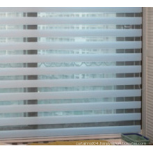 Zebra Roller Blind with New Style Design